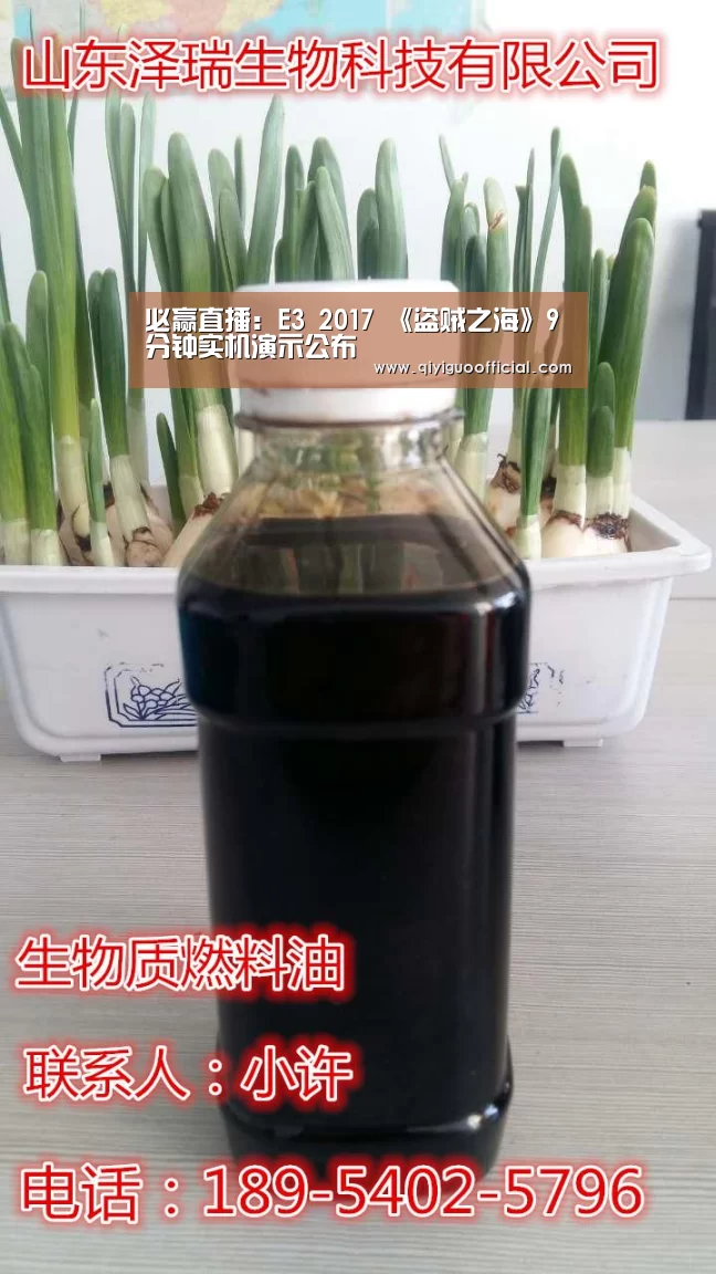 必赢直播:E3 2017 《盗贼之海》9分钟实机演示公布(图2) 必赢