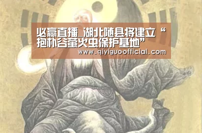 必赢体育