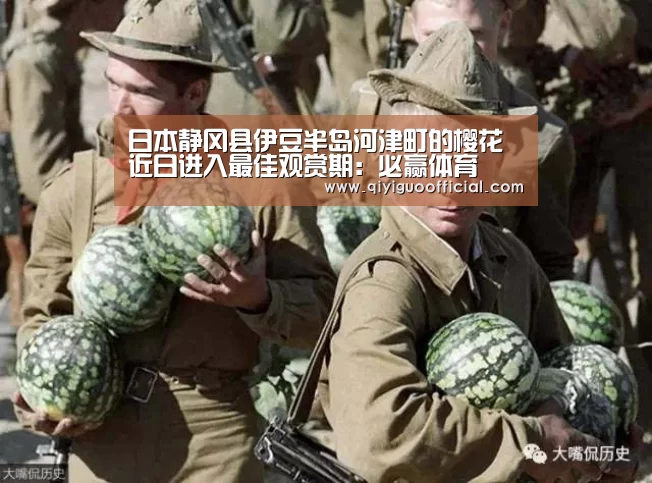 必赢直播
