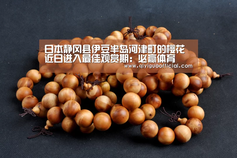 必赢
