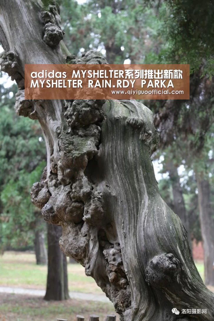 adidas MYSHELTER系列推出新款MYSHELTER RAIN.RDY PARKA外套|必赢体育(图3) 必赢官网