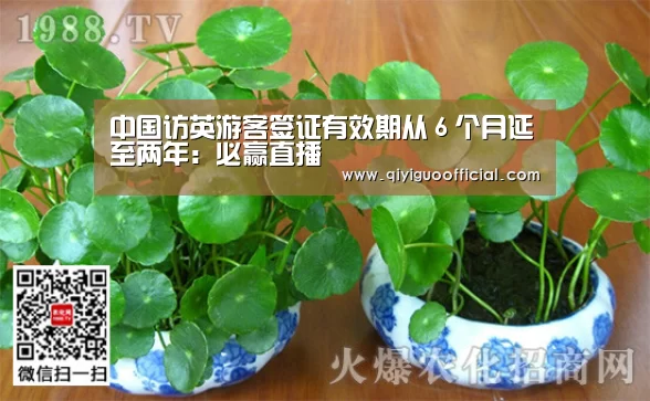 必赢官网